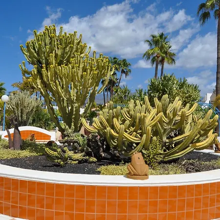 公寓 The Palms Golf Del Sur - Casa Andromeda *